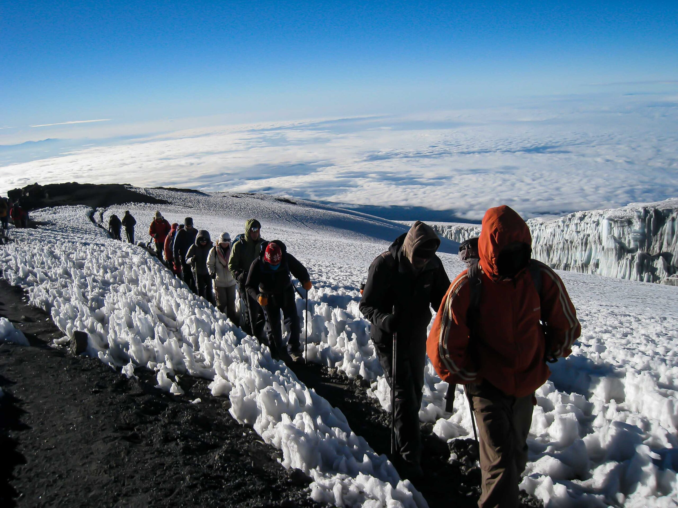 Kilimanjaro