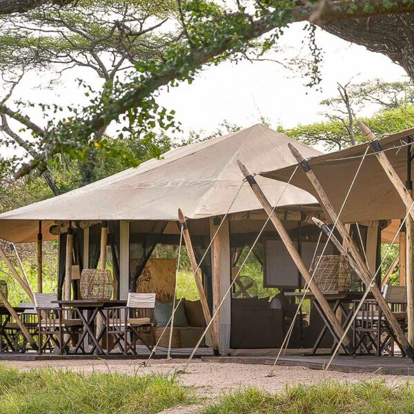 Guests Hosting With Us